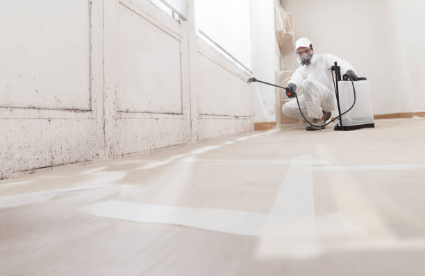 24/7 Emergency Attic Mold Remediation experts in Richardson, TX